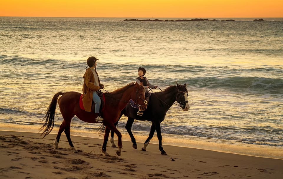 Horseback Riding – Tangier (Mountain & Sea)