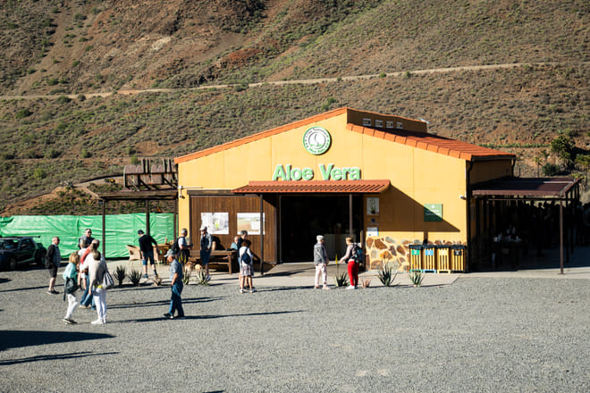 Gran Canaria from the Heights: Fataga and Tejeda photo 6