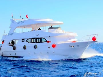 Snorkeling Day Trip to Tiran Island from Sharm El Sheikh
