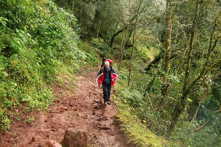 Small Circuit with Yungas in Tucuman