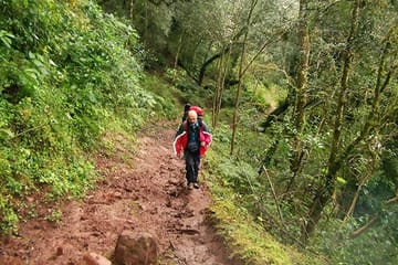 Half-Day Nature Tour in the Yungas from Tucumán