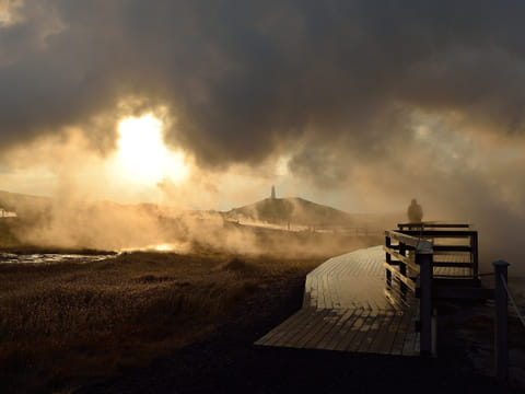 Wild Reykjanes Peninsula