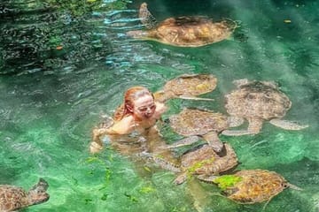 Zanzibar Swim, Snorkel & Feed Turtles at Baraka Aquarium
