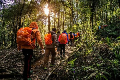 Private 1 Day Fansipan Conquering And Trekking