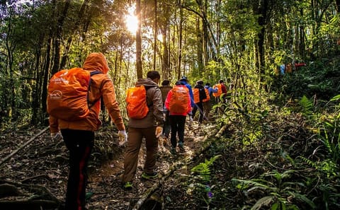 Private Trekking Adventure to Fansipan Peak in Sapa