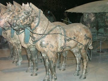 Beijing Forbidden City and Badaling Great Wall private day tour.