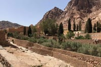 Sharm El sheikh: Day Trip to Moussa Mountain from Sharm El Sheikh 7
