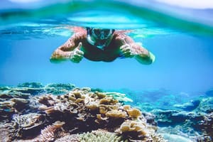 Surin Island Snorkeling by Speedboat from Khao Lak