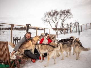 Husky Petting in Akureyri - Private experience, photo 10