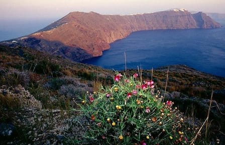 Private Walking Tour of Santorini's Caldera Landscapes