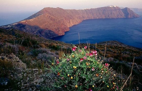 Santorini Private walking tour The Magic Of Caldera