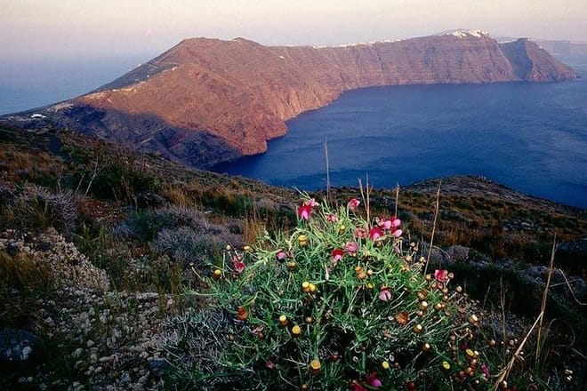Santorini Private walking tour The Magic Of Caldera photo 2
