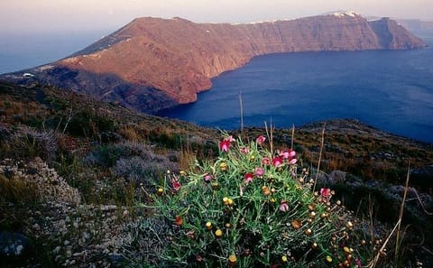 Private Walking Tour of Santorini's Caldera Landscapes