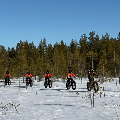 Electric Fat Biking at a Reindeer Farm in Rovaniemi - Image 6