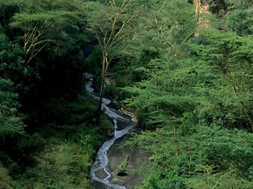 1 Day trip to Hells Gate and Lake Naivasha From Nairobi