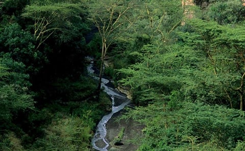 1 Day trip to Hells Gate and Lake Naivasha From Nairobi