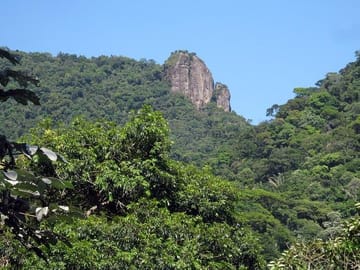 Tijuca Forest, one of the 4 wonders of Rio de Janeiro