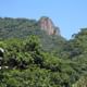 Tijuca Forest, one of the 4 wonders of Rio de Janeiro