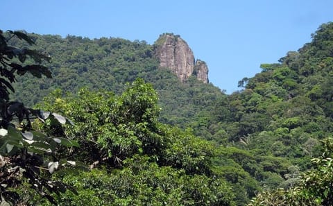Jeep Tour of Rio's Christ the Redeemer, Sugar Loaf, and More