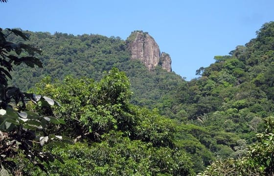 Jeep Tour 4 Wonders – Christ Redeeemer, Sugar Loaf, Maracanã & Selaron