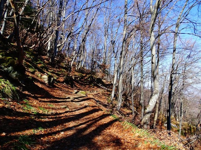 Mt. Vitosha and Boyana Waterfall Hiking Tour from Sofia 7