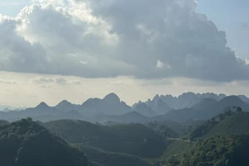 Tea Culture Experience at Qixianfeng Plantation in Yangshuo