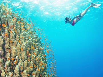 Marsa-Alam Snorkeling day trip Nefertari Cruise