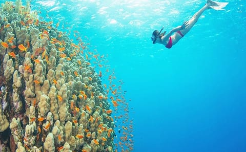 Snorkeling and Sailing Adventure to Orange Bay, Giftun Island