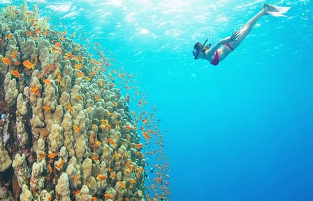 Snorkeling and Sailing Adventure to Orange Bay, Giftun Island