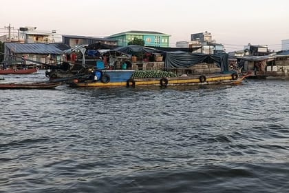 Deluxe Mekong Delta Tour to Floating Market 2 Days 1 Night Trip