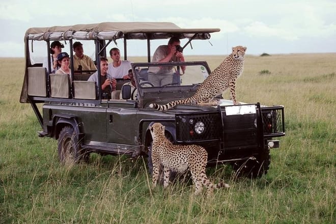 See Big 5 in Kenya &amp; Tanzania parks