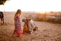 Dubai Desert Safari Overnight Ultra Luxury  6