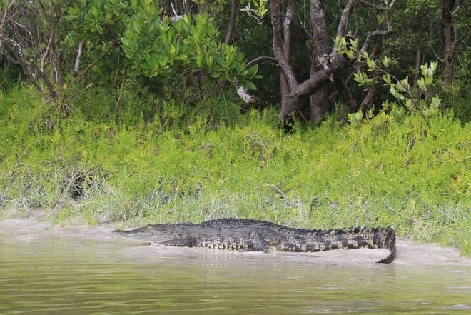 Kayak Experience in the Mangroves of Holbox Island photo 4