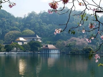 Cultural Tour of Katunayake, Sri Lanka for Budget Travelers