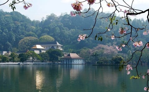 Cultural Tour of Katunayake, Sri Lanka for Budget Travelers