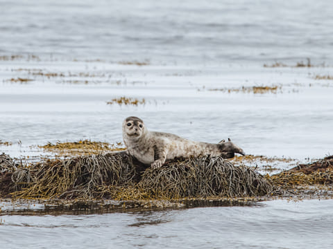 Snæfellsnes Peninsula | Private Tour | Photo Package Included, photo 3
