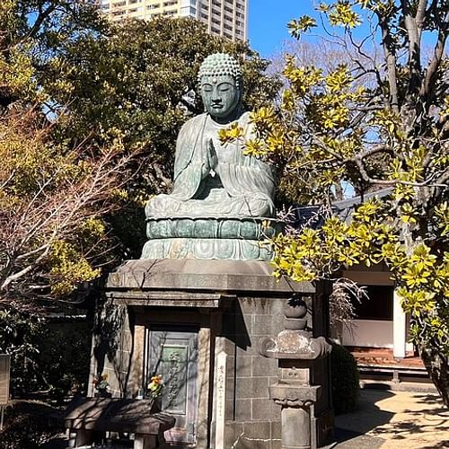 Old Tokyo History and Transition Small Group Walking Tour