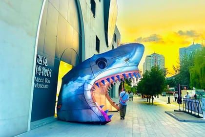 Old Beijing City Night Walking Tour & Street Food Tasting