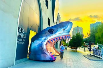 Beijing Night Walking Tour with Street Food and Beer Tasting