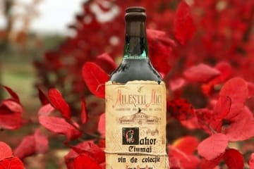 Chișinău Sightseeing Tour with Wine Tasting at Mileștii Mici