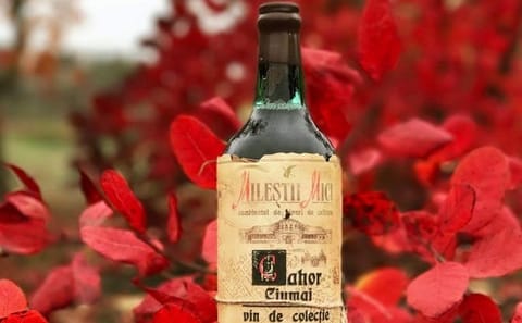 Chișinău Sightseeing Tour with Wine Tasting at Mileștii Mici