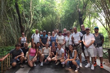 Chengdu Panda Base and Leshan Buddha Full-Day Tour