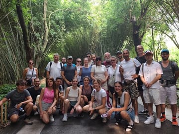 Chengdu: Panda Base Leshan Buddha Tour(or Half Day Panda Base )