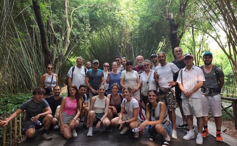 Chengdu Panda Base and Leshan Buddha Full-Day Tour