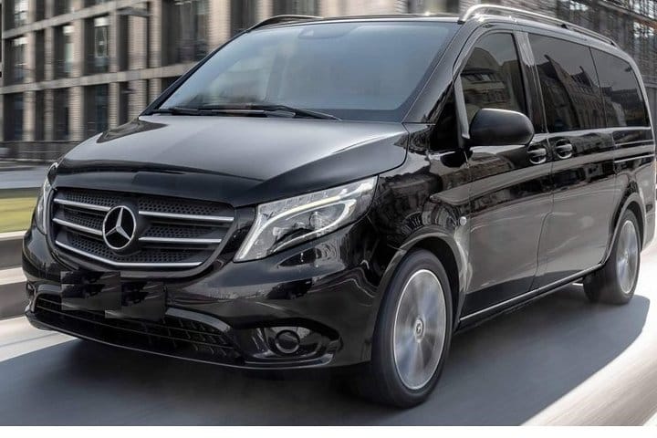 Majical Majorelle Garden and Camel Ride in Palmeraie of Marrakech