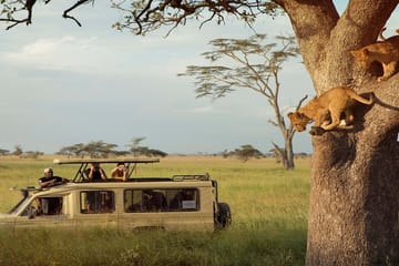 11-Day Safari Adventure in Kenya and Tanzania