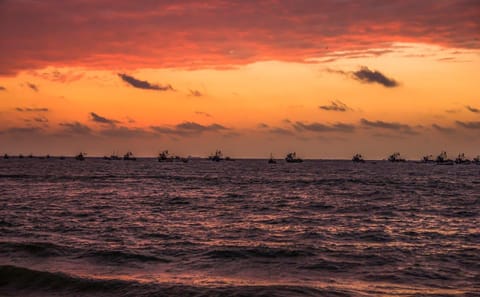 4-Day Nature Tour to Mancora from Piura, Peru
