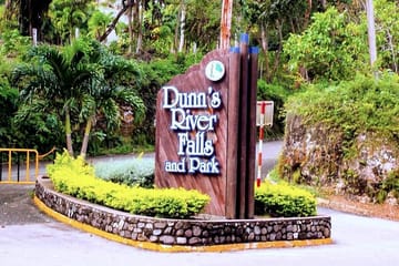 Dunn's River Falls Climb and Ocho Rios Shopping Tour from Falmouth