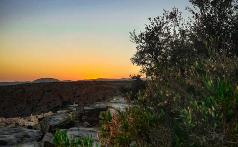 Immersive Oman & Emirates Tour