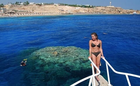 Snorkeling Tour at Ras Mohammed National Park in Sharm El Sheikh